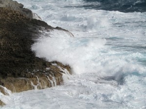 IMG_5426 (Medium)